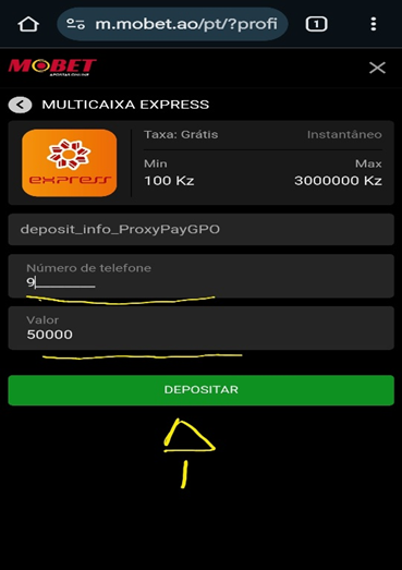 Formulário Multicaixa Express na Mobet